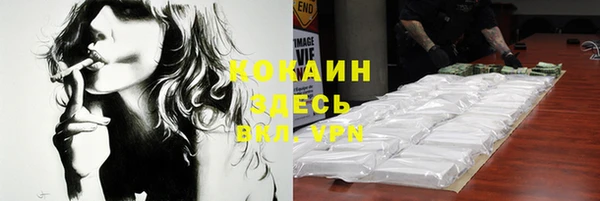 шишки Ростов