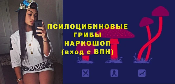 spice Рославль