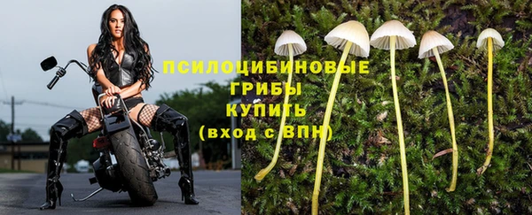 прущая мука Россошь