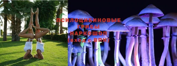 spice Рославль