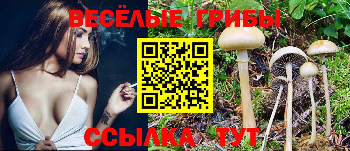 Псилоцибиновые грибы Magic Shrooms  Вход с VPN  Скопин 
