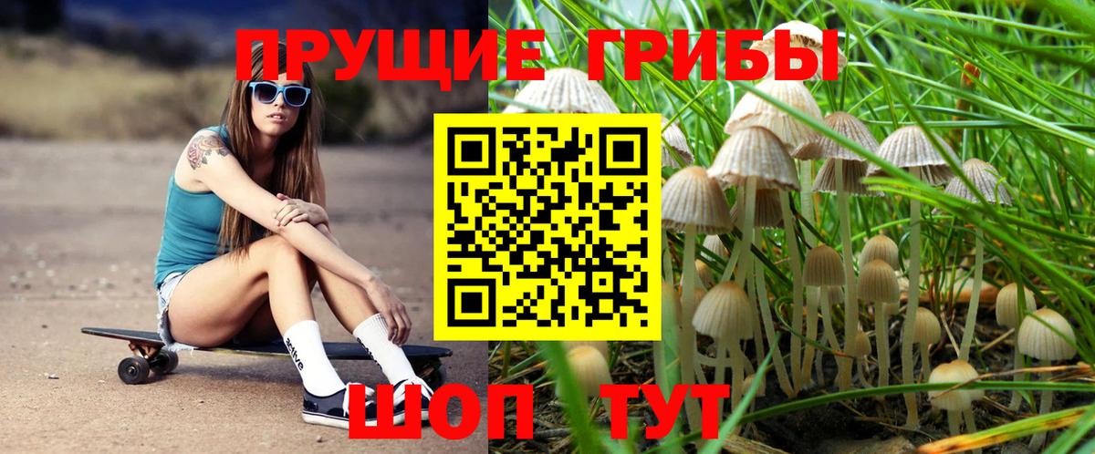 Галлюциногенные грибы Psilocybe  Галлюциногенные грибы Psilocybe  Скопин 