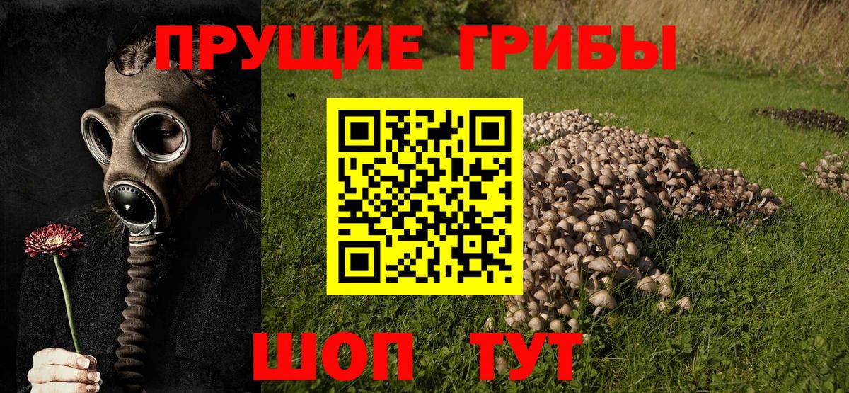 Галлюциногенные грибы Cubensis Скопин